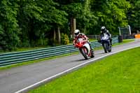 cadwell-no-limits-trackday;cadwell-park;cadwell-park-photographs;cadwell-trackday-photographs;enduro-digital-images;event-digital-images;eventdigitalimages;no-limits-trackdays;peter-wileman-photography;racing-digital-images;trackday-digital-images;trackday-photos